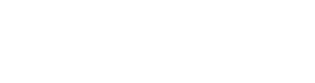 Envios Cargo Express